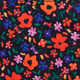 Pochette lat¨¦rale Indiana State Museum