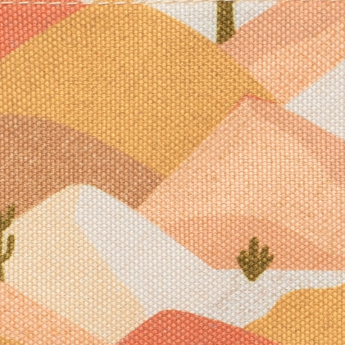 Pochette lat¨¦rale Pachuca