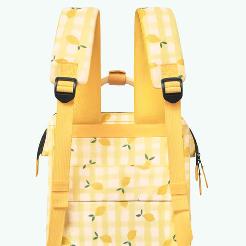 Sac ¨¤ dos Adventurer Medium Pau