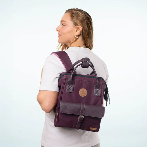 Sac ¨¤ dos Adventurer Small Norfolk