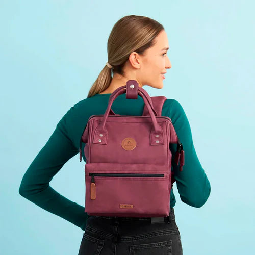 Sac ¨¤ dos Adventurer Small Delhi